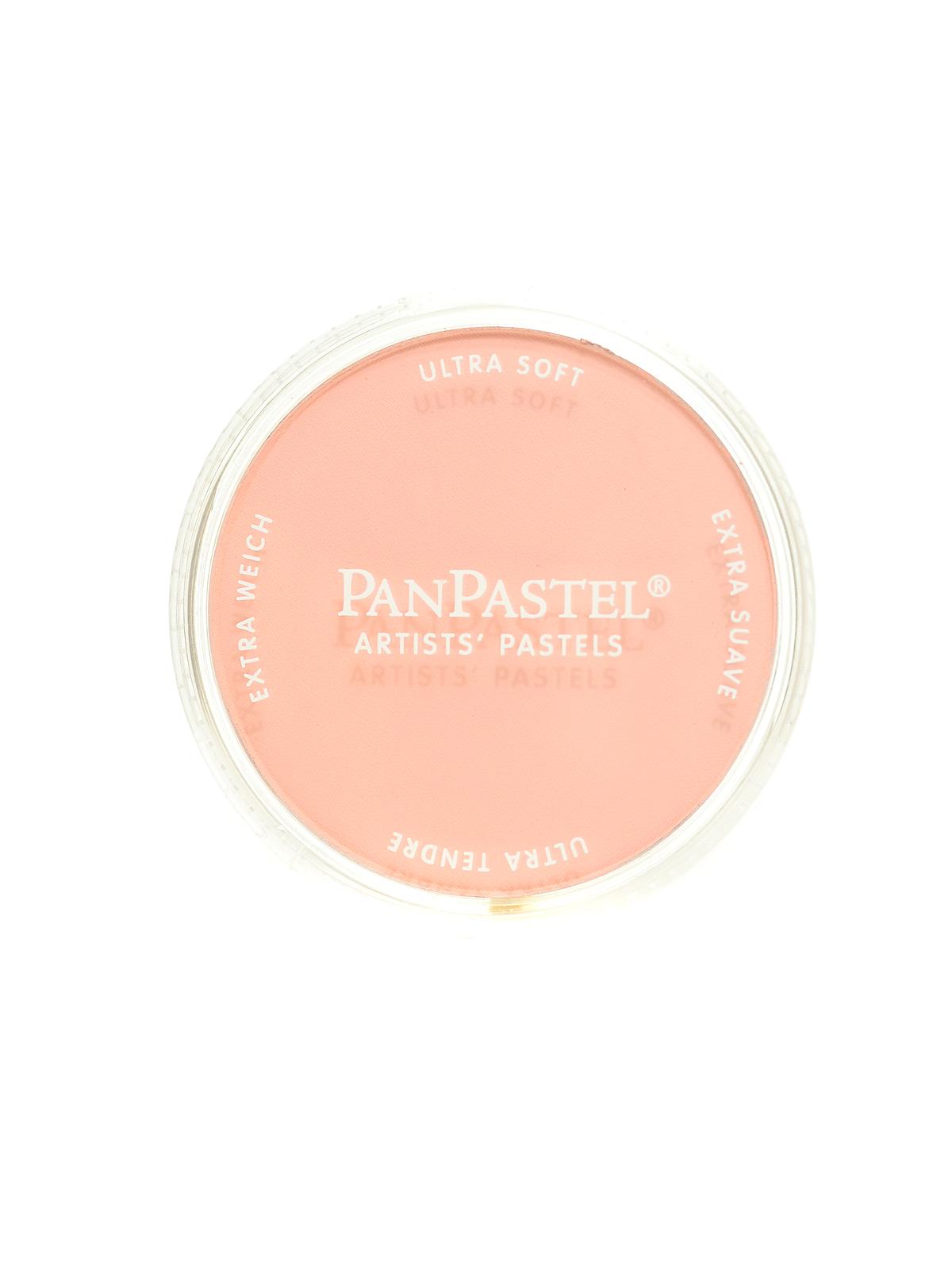Artists' Pastels red iron oxide tint 380.8 9 ml