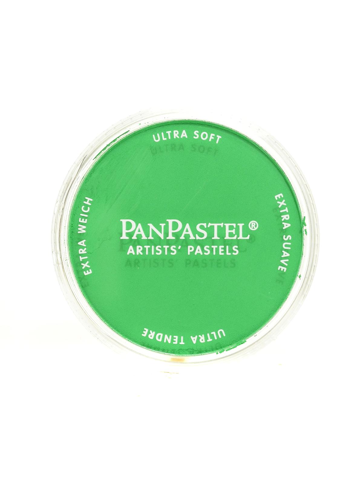 Artists' Pastels permanent green 640.5 9 ml
