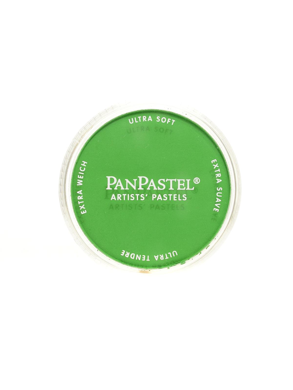 Artists' Pastels chromium oxide green 660.5 9 ml