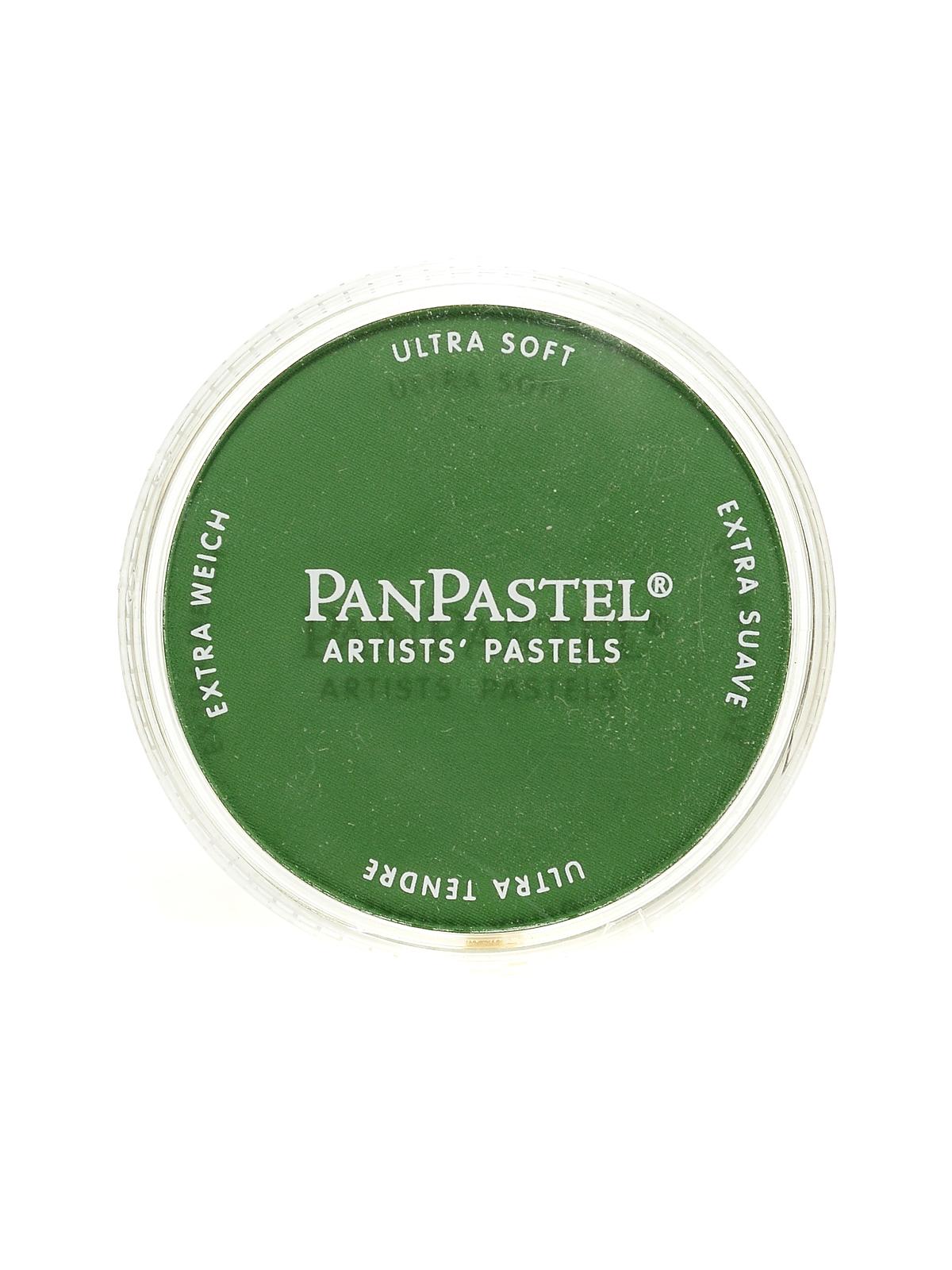 Artists' Pastels chromium oxide green shade 660.3 9 ml