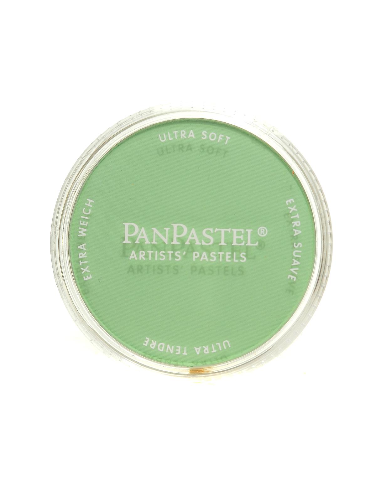 Artists' Pastels chromium oxide green tint 660.8 9 ml