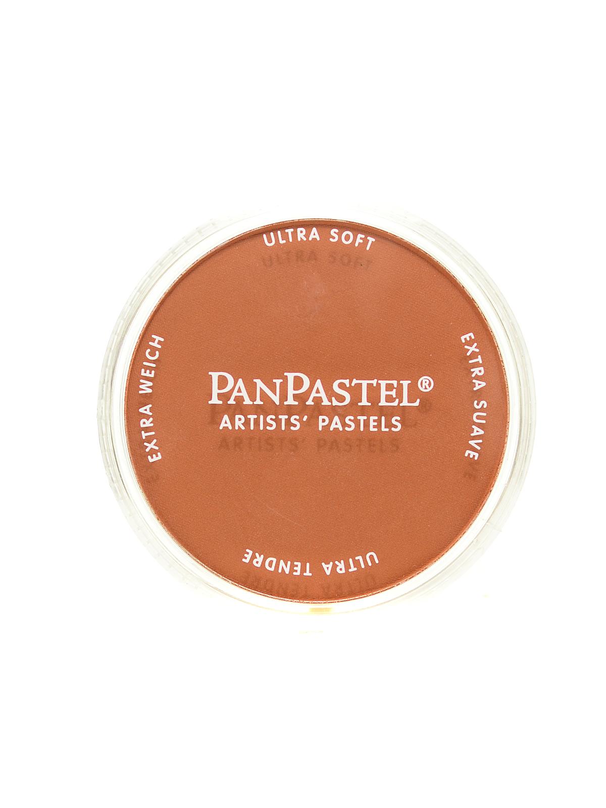 Artists' Pastels burnt sienna 740.5 9 ml