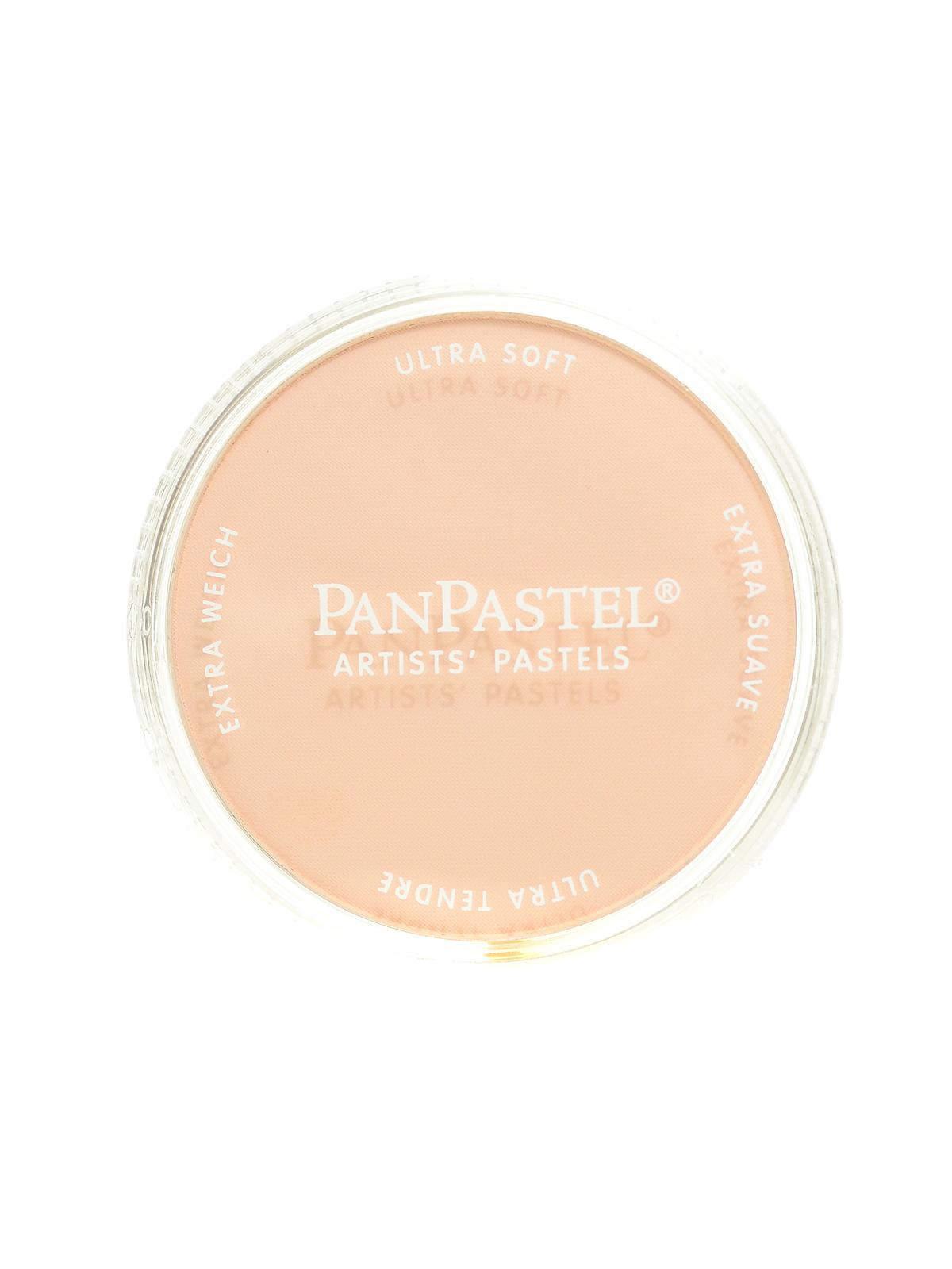 Artists' Pastels burnt sienna tint 740.8 9 ml