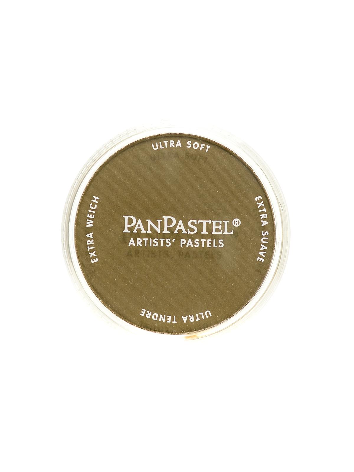 Artists' Pastels raw umber 780.5 9 ml