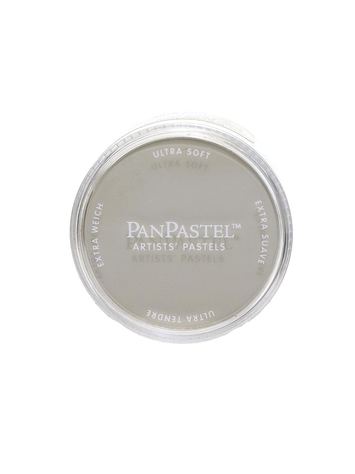 Artists' Pastels raw umber tint 780.8 9 ml