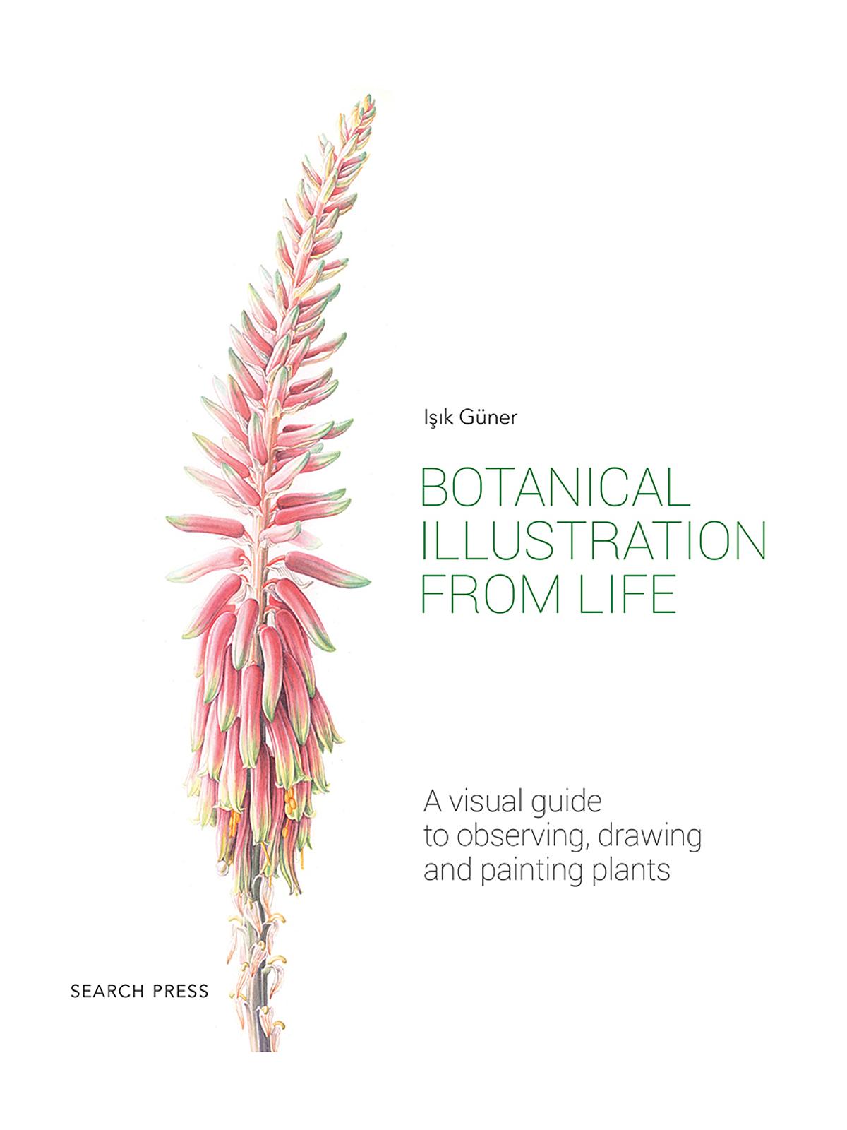 Botanical Illustration from Life each