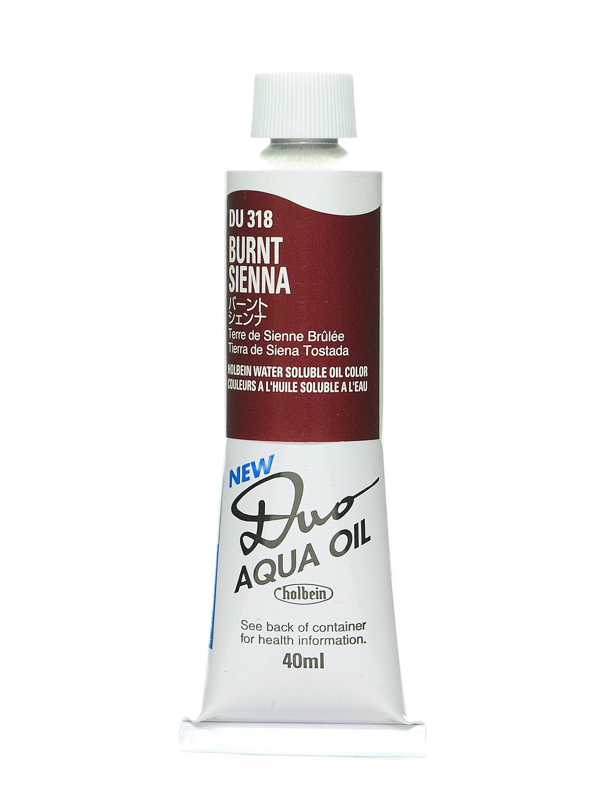 Duo Aqua Artist Oil Color burnt sienna 40 ml