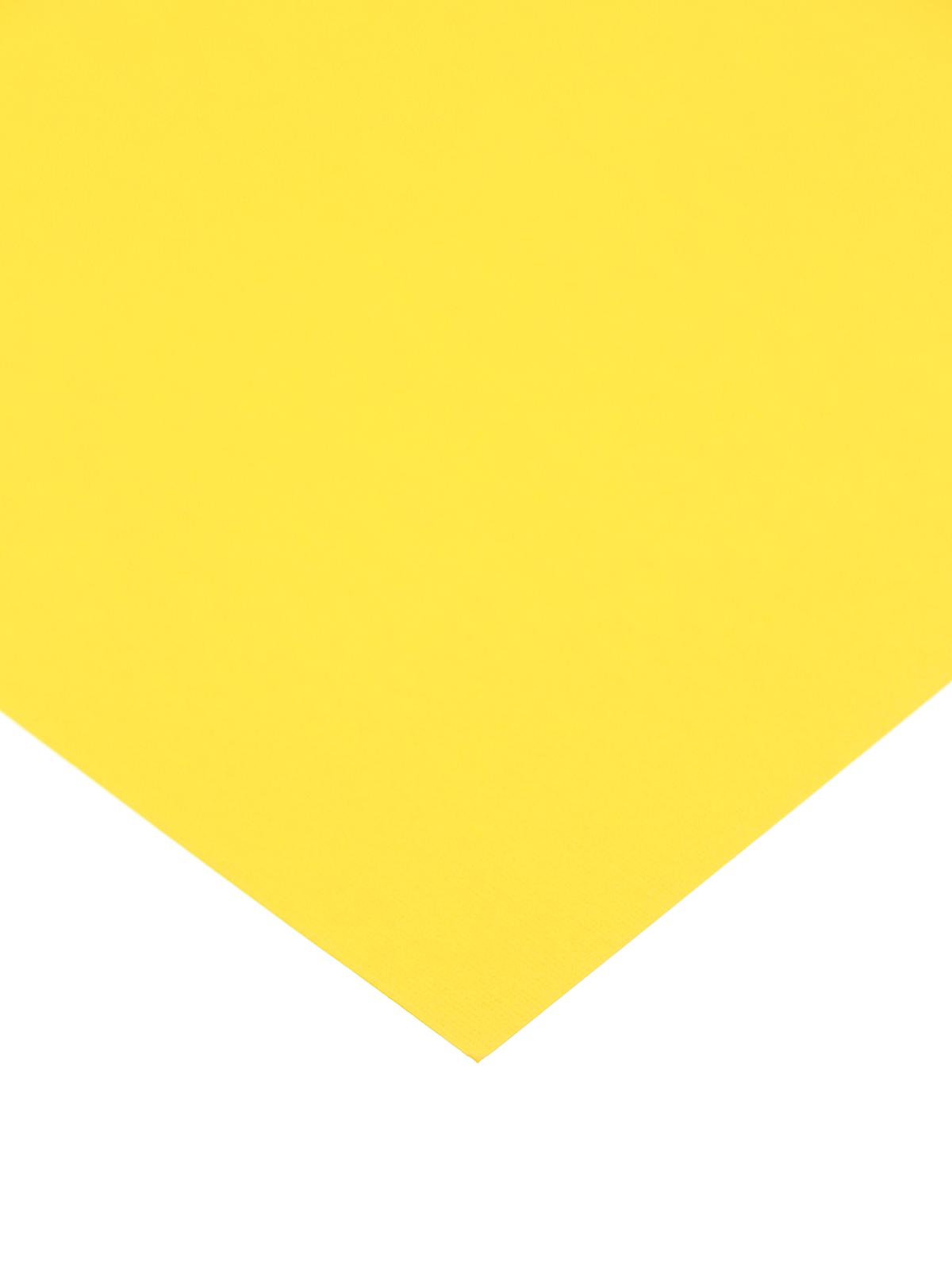 80 lb. Canvas 12 in. x 12 in. sheet fireflies