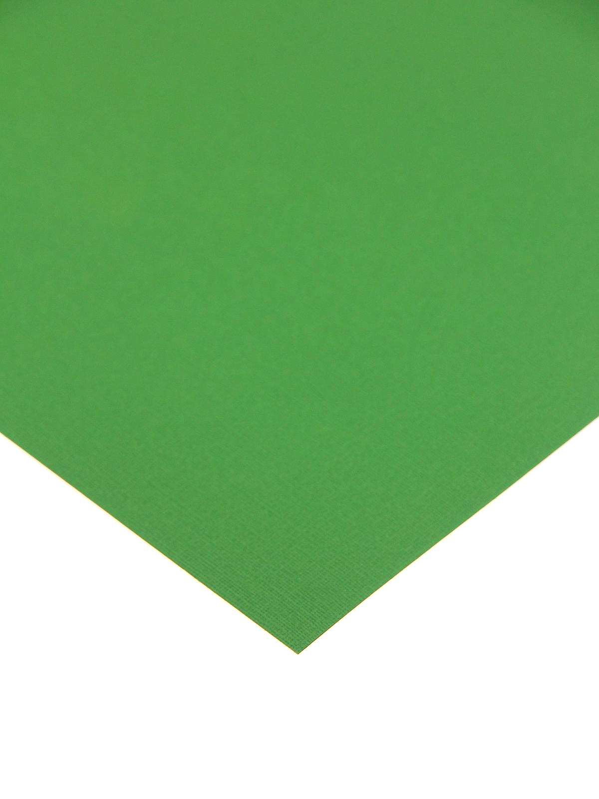 80 lb. Canvas 12 in. x 12 in. sheet parrot