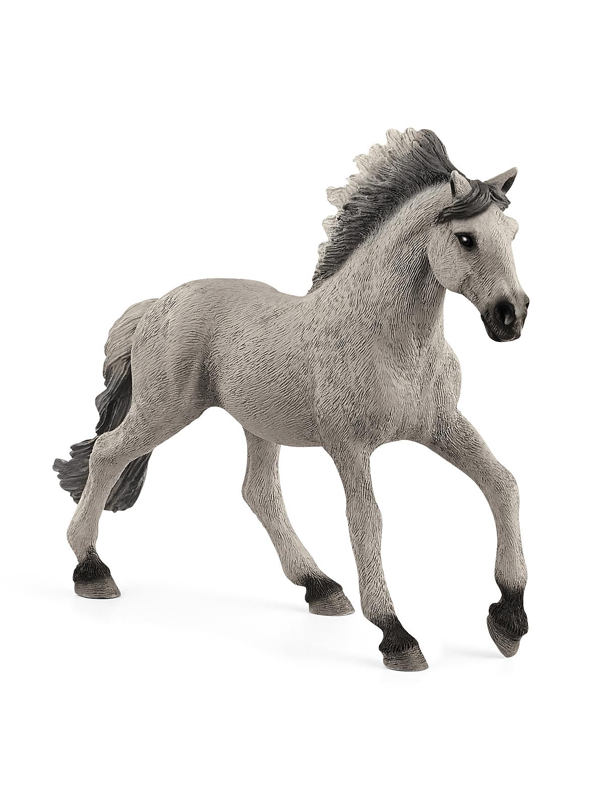 Farm World Animals Sorraia Mustang Stallion