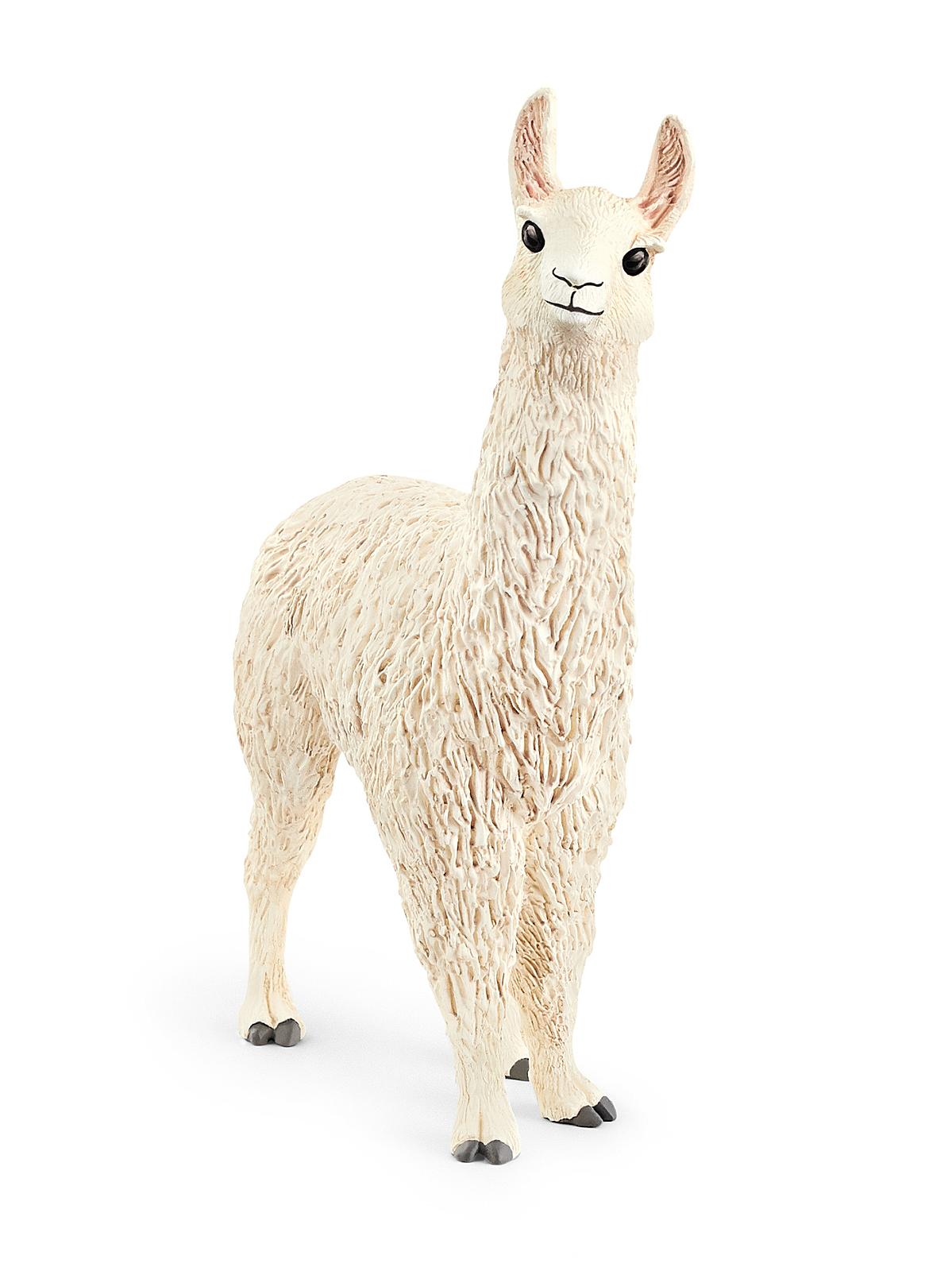Farm World Animals Llama