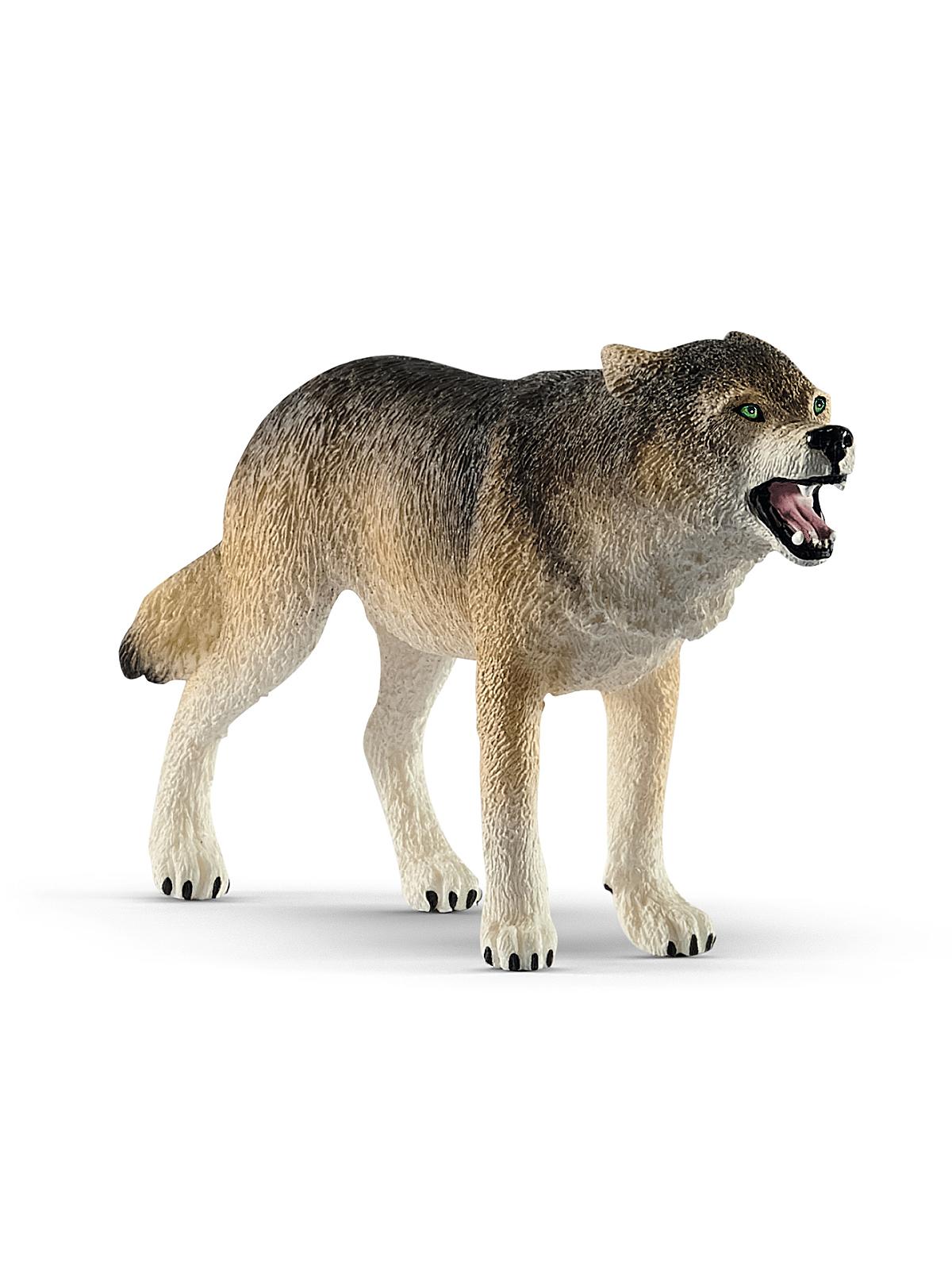 Wild Life Animals Wolf