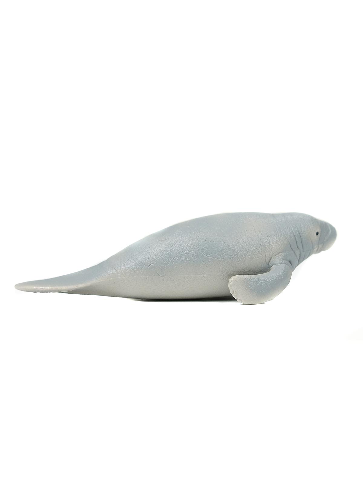 Wild Life Animals Manatee