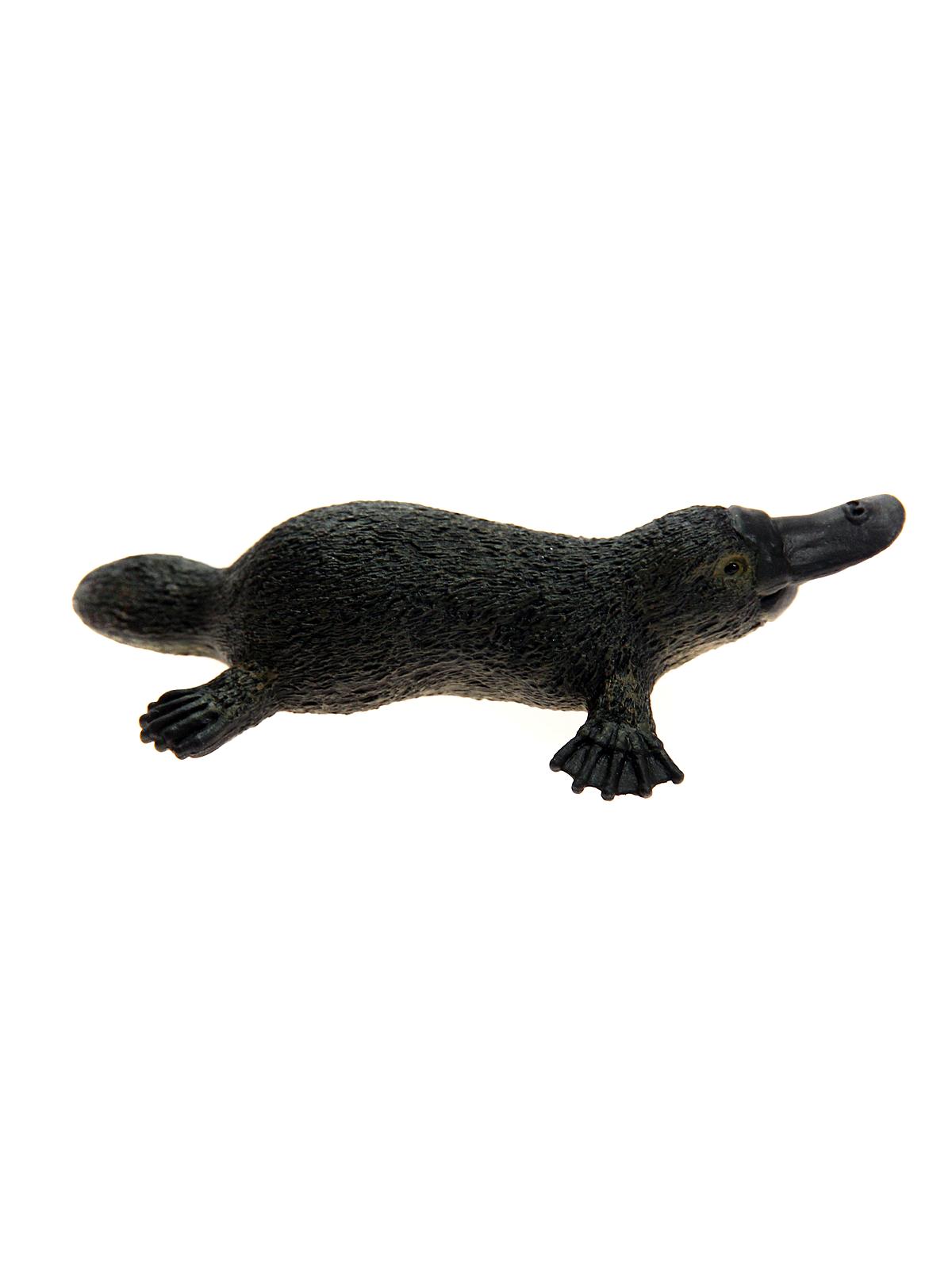 Wild Life Animals Platypus