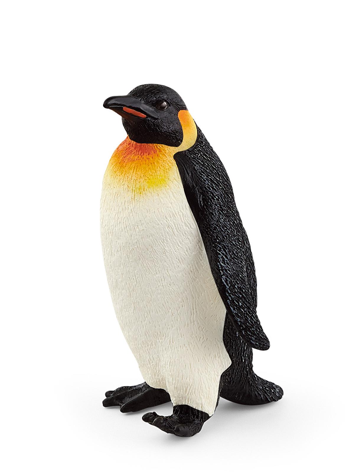 Wild Life Animals Emperor Penguin