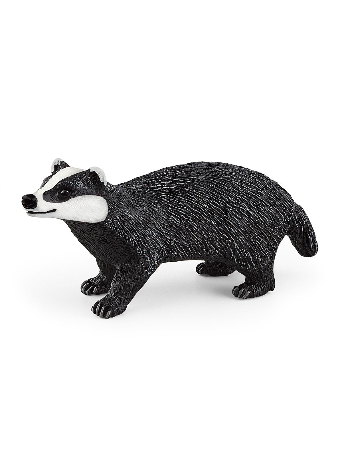 Wild Life Animals Badger