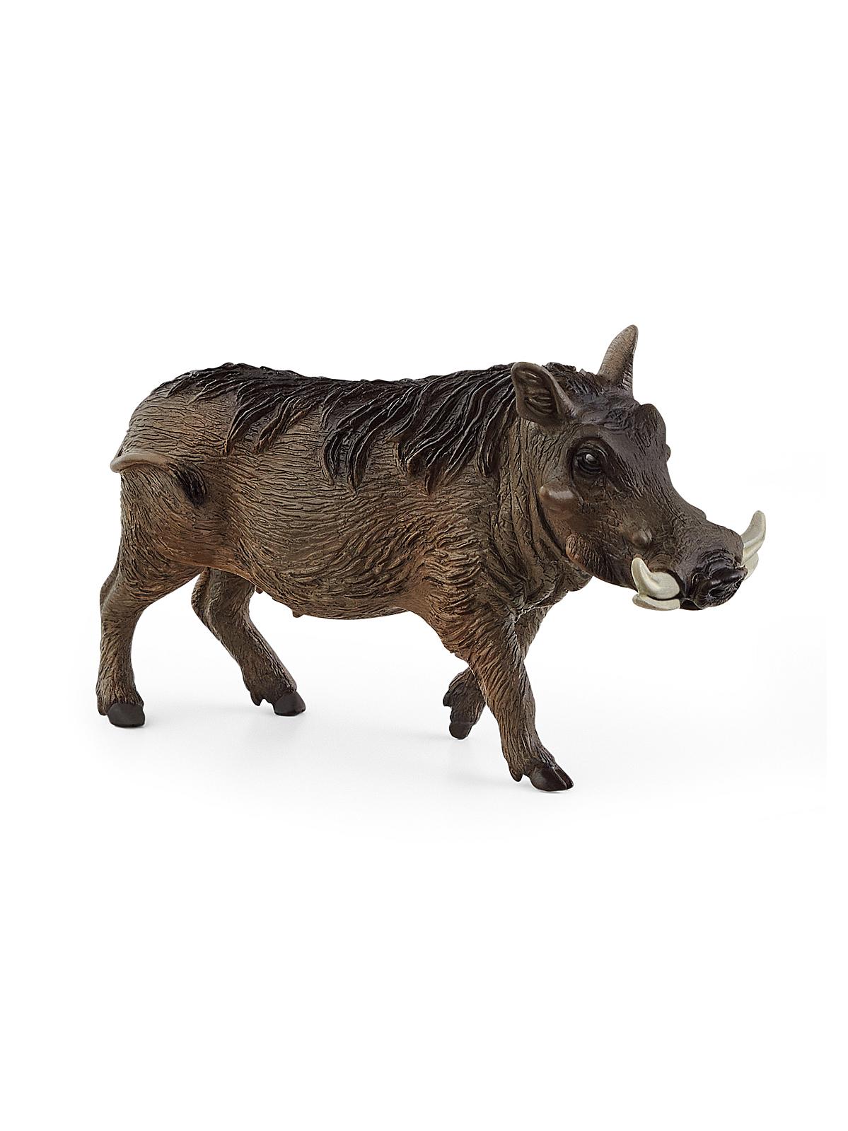 Wild Life Animals Warthog