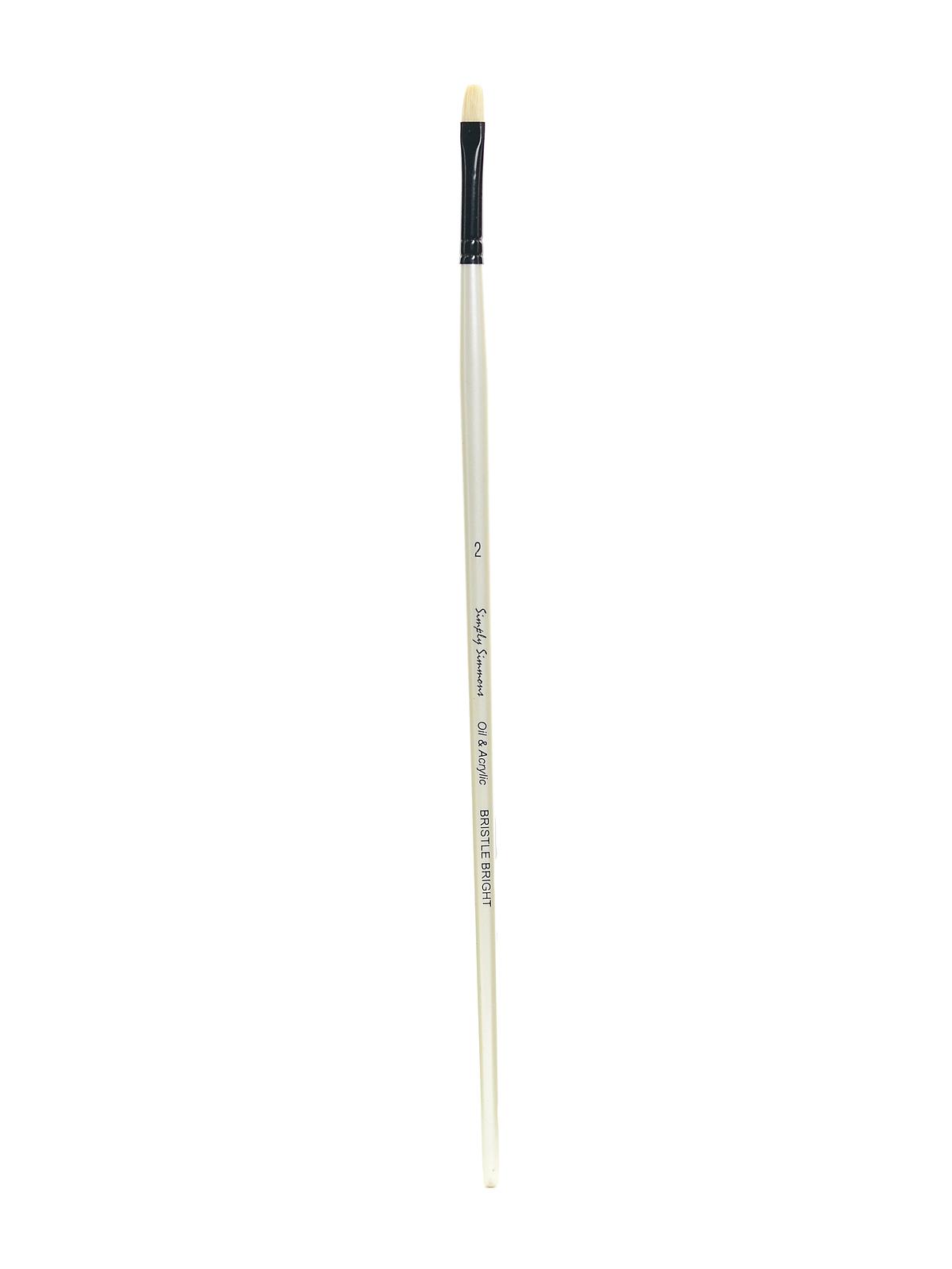Simply Simmons Long Handle Brushes bristle bright 2