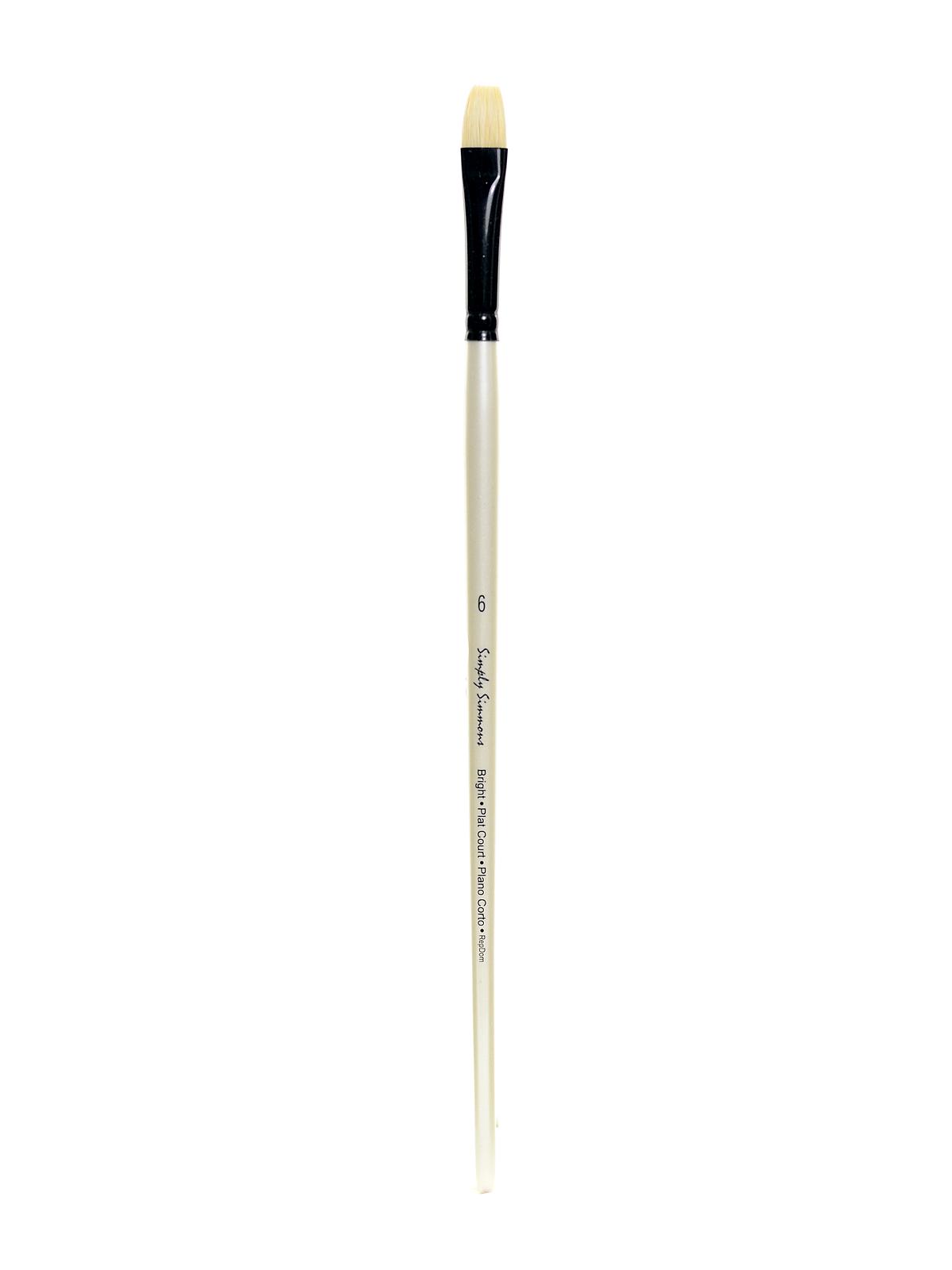 Simply Simmons Long Handle Brushes bristle bright 6