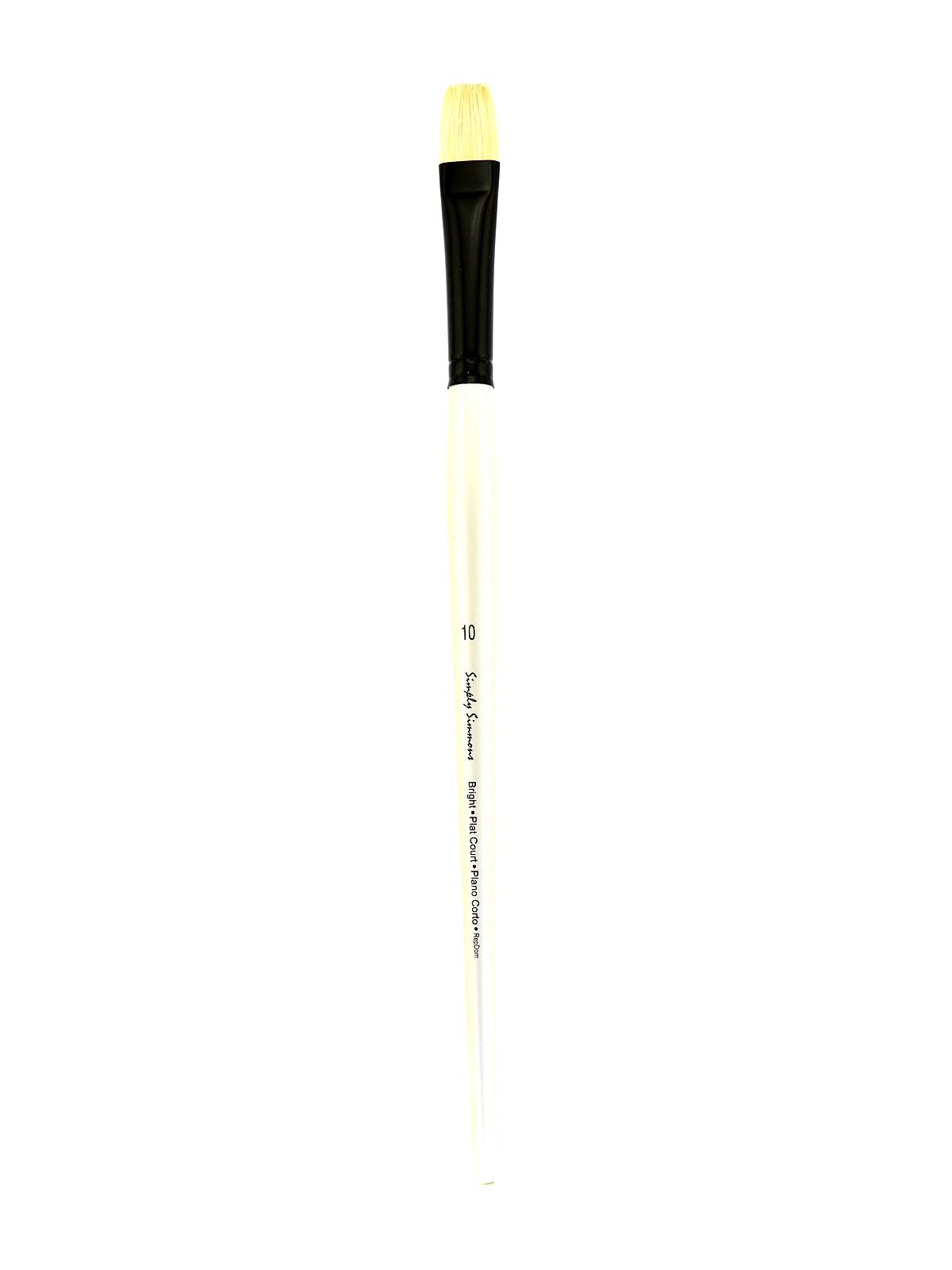 Simply Simmons Long Handle Brushes bristle bright 10