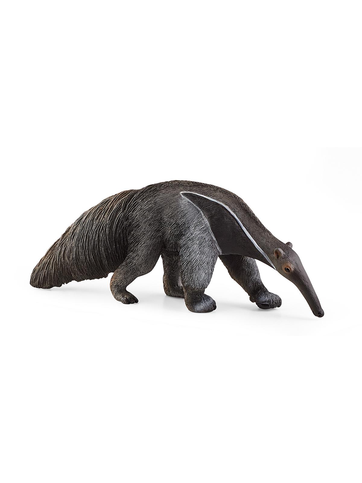 Wild Life Animals Anteater