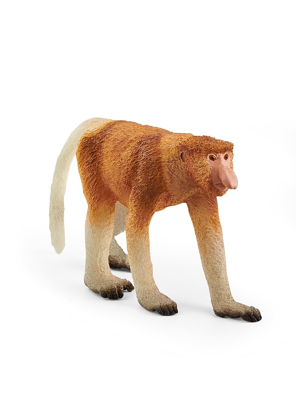 Wild Life Animals Proboscis Monkey