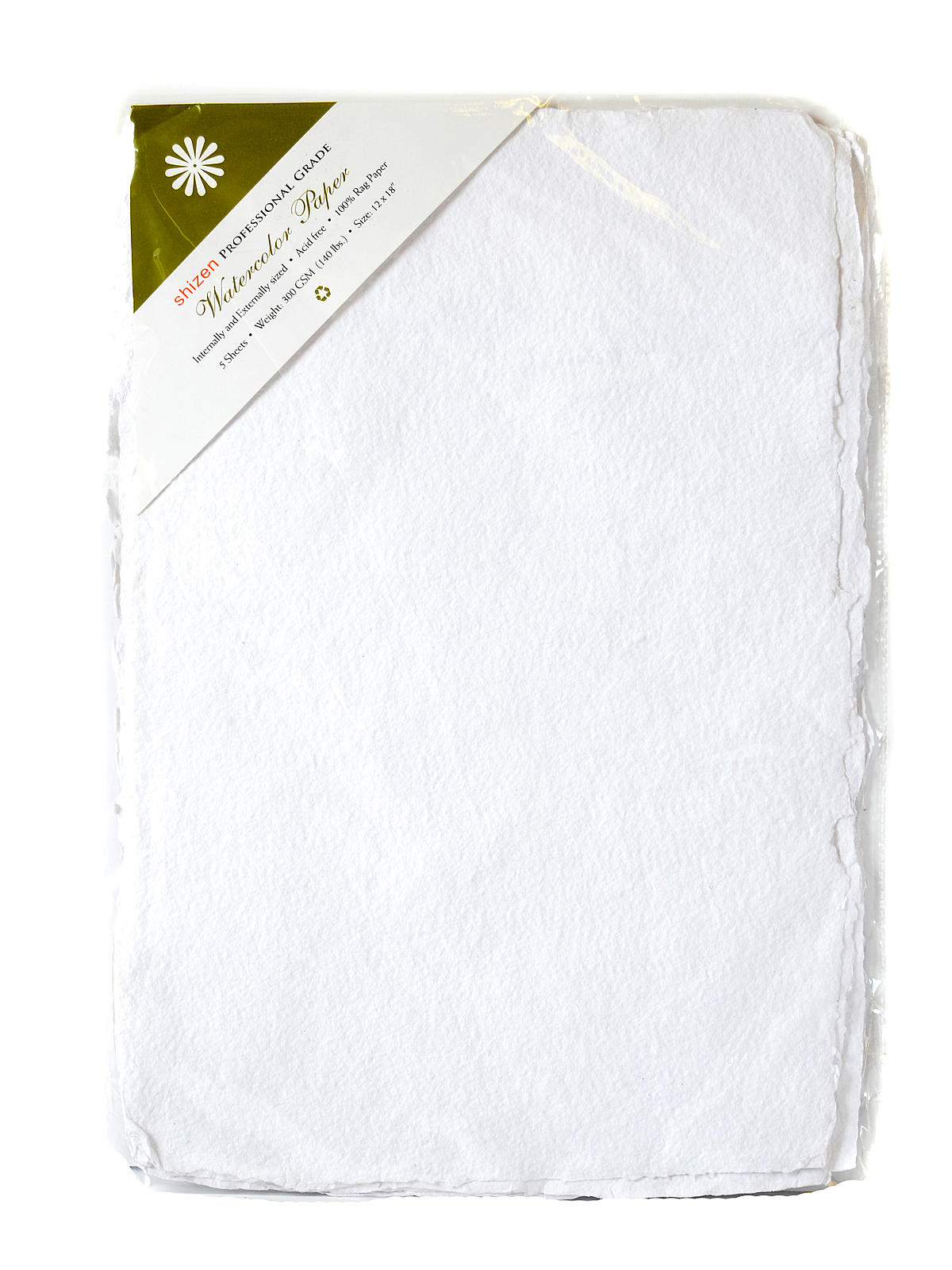 Professional Grade Watercolor Paper 12 in. x 18 in. cold press pack of 5