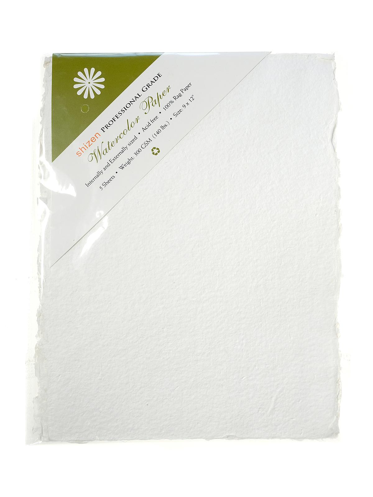 Professional Grade Watercolor Paper 9 in. x 12 in. cold press pack of 5