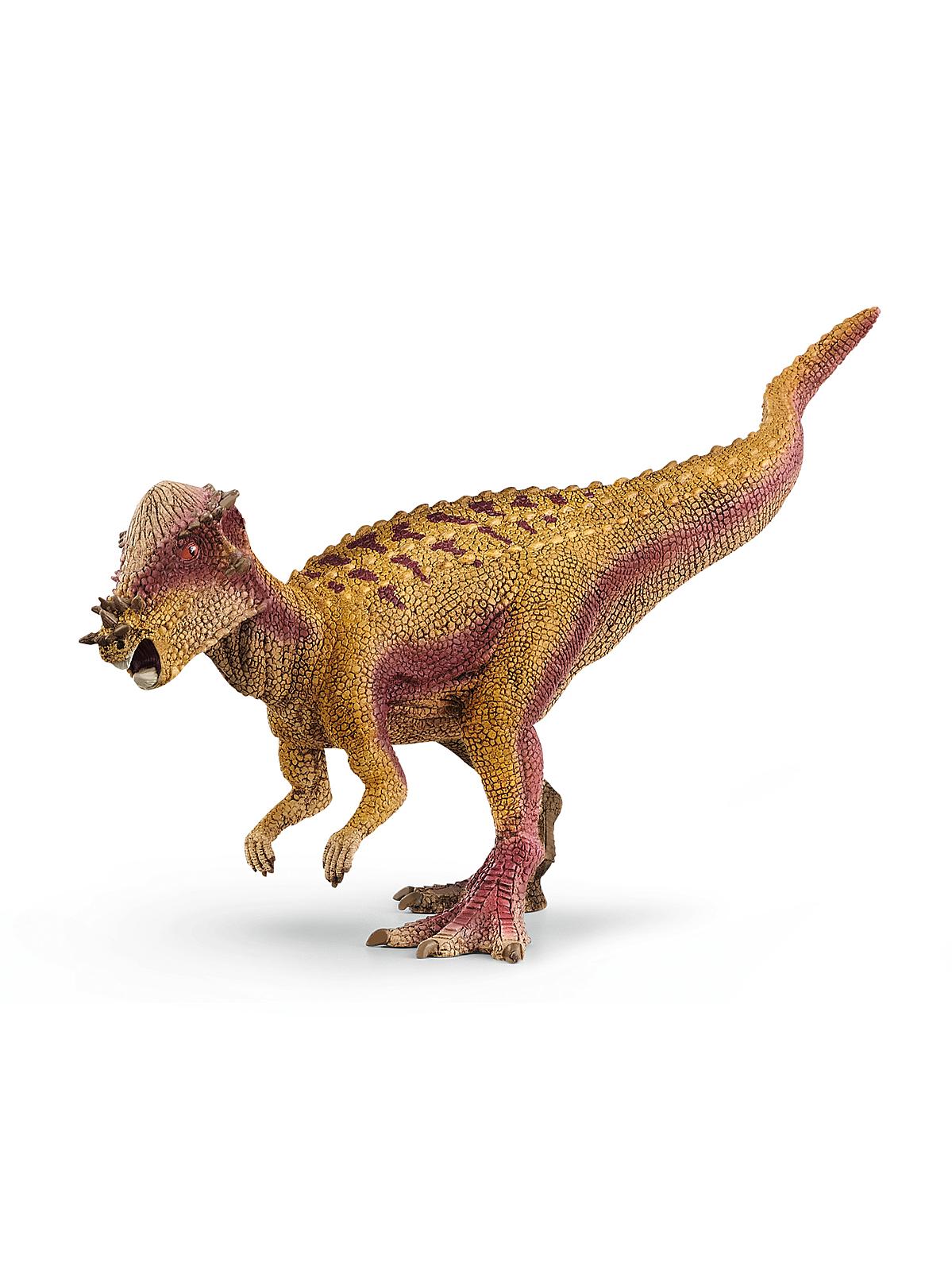 Dinosaurs Pachycephalosaurus