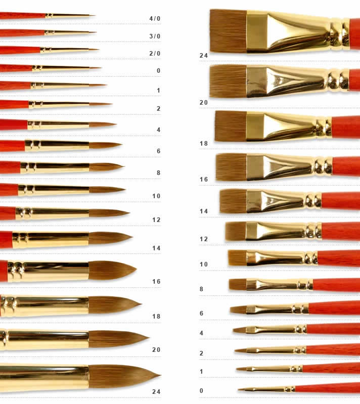 Artist Paint Brush Sizes Chart