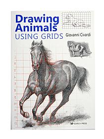 Drawing Using Grids