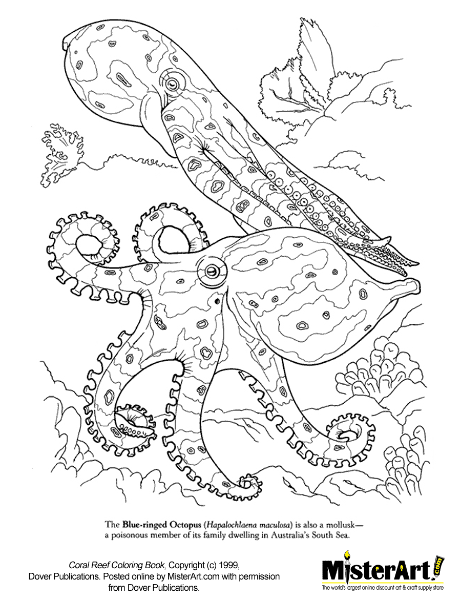 coloring pages coral reefs - photo #32