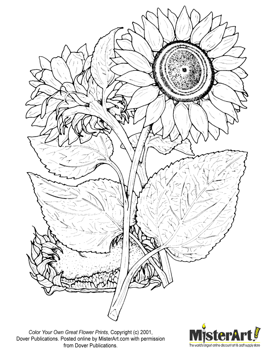 Free Coloring Page Color Your Own Great Flower Prints Coloring ...