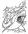 Coloring Page from: Sharks of the World Coloring Book