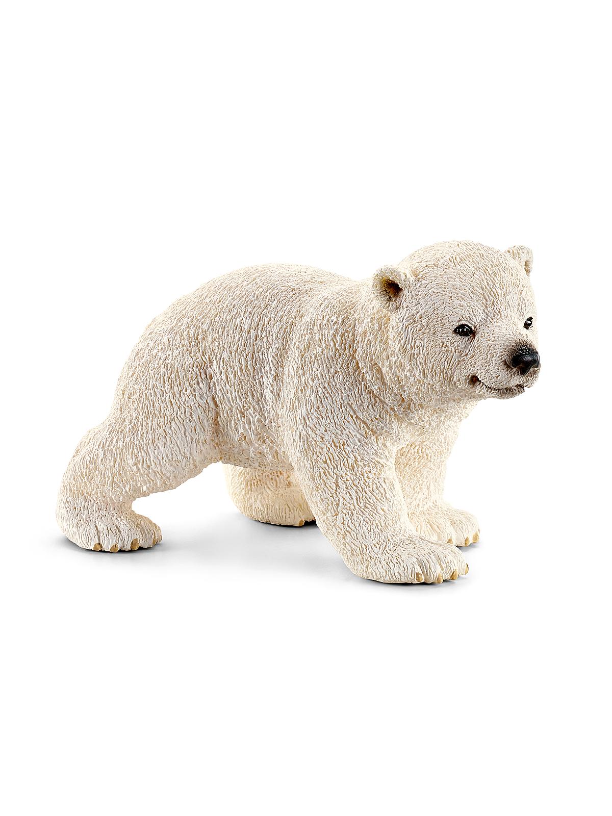 Polar Bear Cub, Walking