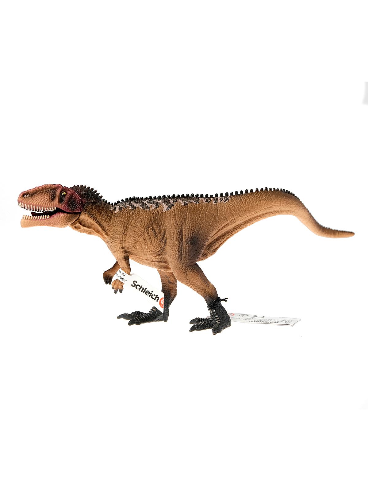 Gigantosaurus, Juvenile